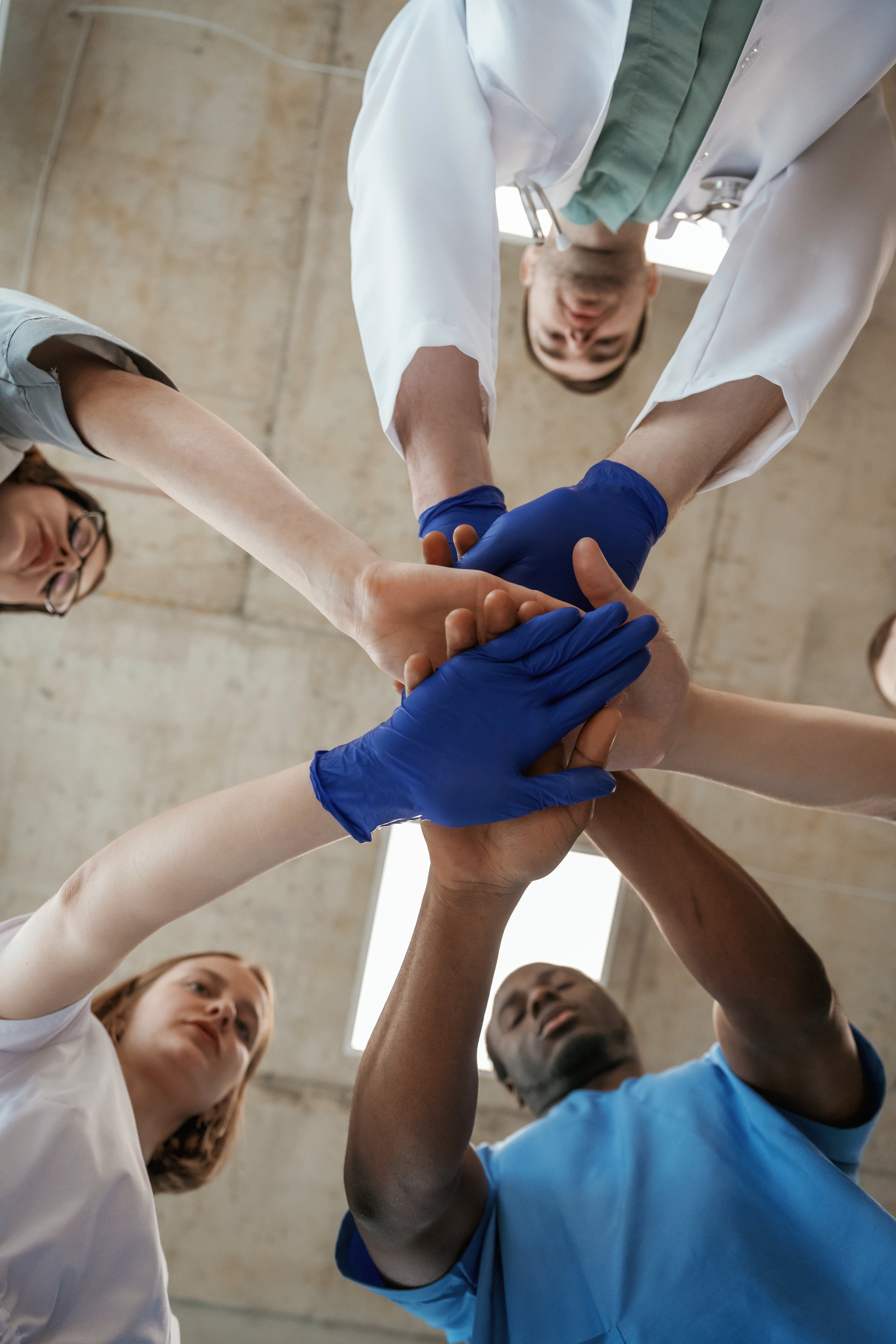 IMMUNE & ILLNESS SUPPORT